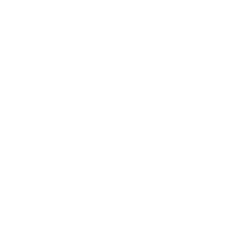 Solo 2
